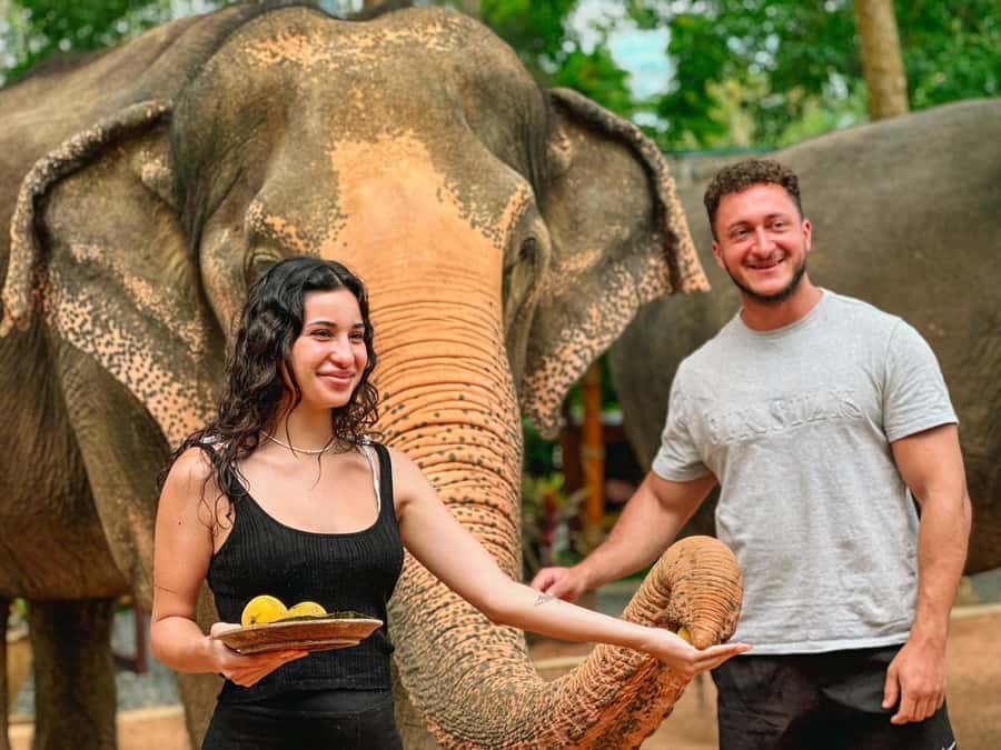 Koh Samui: Ethical Elephant Home Guided Tour with Transfers - Food, Break Time, and What to Bring for a 4-Hour Day
