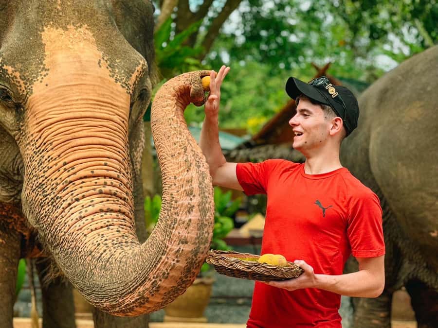 Koh Samui: Ethical Elephant Home Guided Tour with Transfers - Price and Value: What $96 Buys on Koh Samui