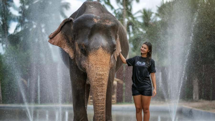 Koh Samui: Feed & Shower with Elephants Experience - Feeding elephants safely: fruit time and behavior lessons