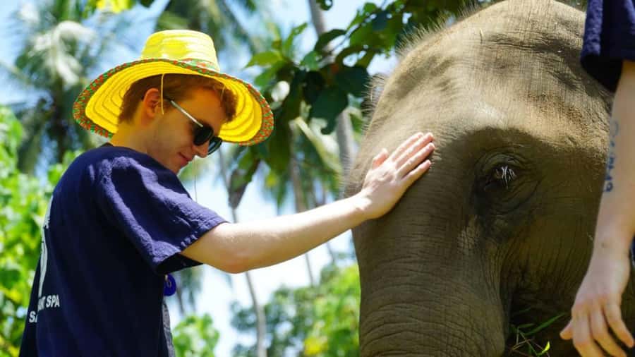 Koh Samui: Half-Day Ethical Elephant Sanctuary with Mud Spa - Health supplement prep and meeting the mahout