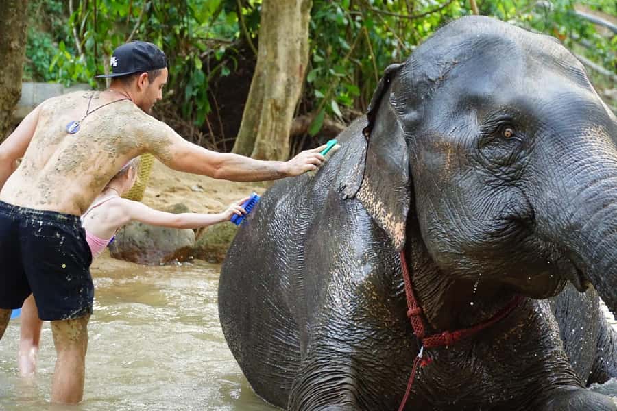 Koh Samui: Half-Day Ethical Elephant Sanctuary with Mud Spa - Mud spa play, cooling off, and the elephant bath with shower