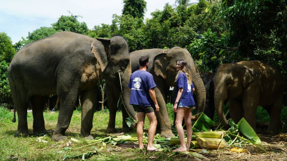 Koh Samui: Half-Day Ethical Elephant Sanctuary with Mud Spa - Thai cooking class: noodle soup, seasonal fruit, and a real meal