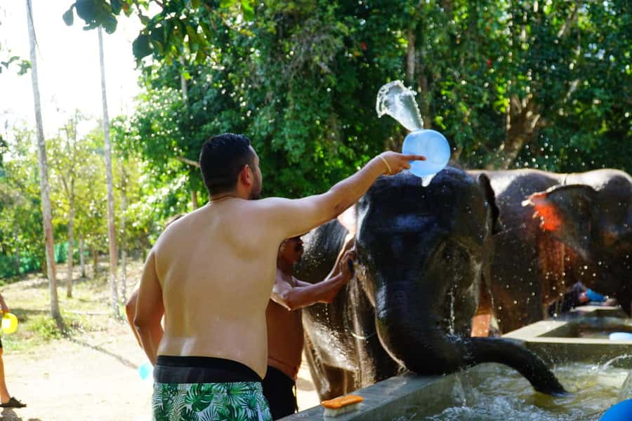 Koh Samui: Half-Day Ethical Elephant Sanctuary with Mud Spa - Price and value: is $80 worth 4 hours?