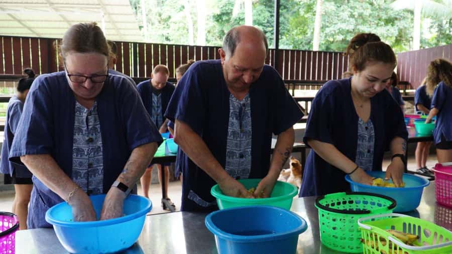Koh Samui: Half-Day Ethical Elephant Sanctuary with Mud Spa - Getting there: pickup timing and the Samui Elephant Spa check-in