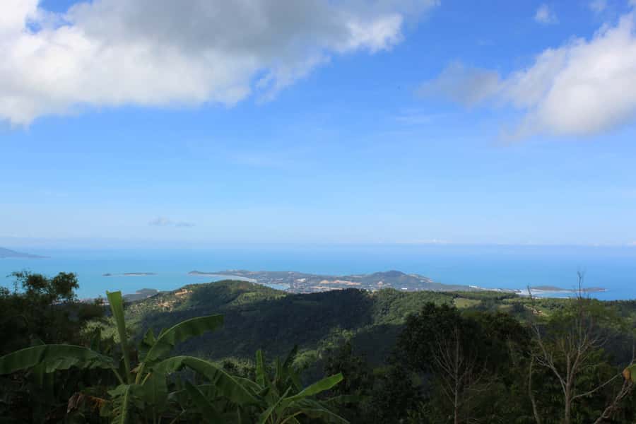 Koh Samui: Mr.Ung's 4WD Wild Jungle Safari Tour with Lunch - Lunch at 360 Restaurant: Traditional Thai Food with Mountain Views
