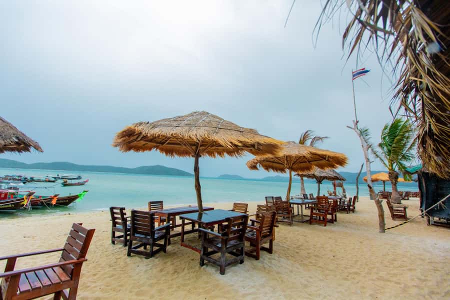 Koh Samui: Pink Dolphin Spotting & Pig Island Speedboat Tour - Should You Book Koh Samui Pink Dolphins and Pig Island?