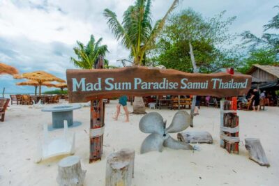 Koh Samui: Pink Dolphin Spotting & Pig Island Speedboat Tour - Pink Dolphins Off Koh Samui: What You Can Expect (and How to Improve Your Odds)