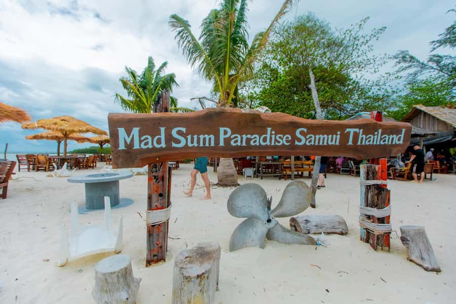 Koh Samui: Pink Dolphin Spotting & Pig Island Speedboat Tour - Pink Dolphins Off Koh Samui: What You Can Expect (and How to Improve Your Odds)