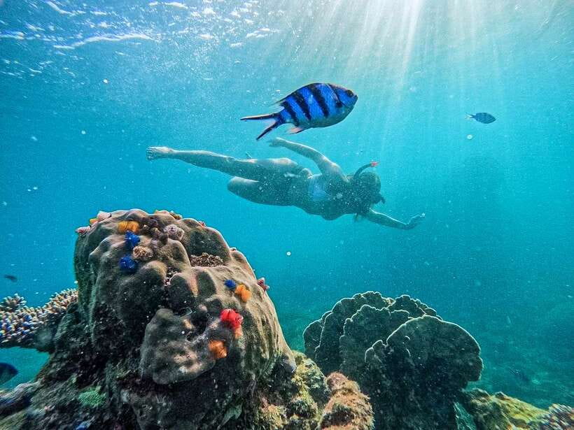 Koh Tao: Koh Nangyuan & Hidden Bays Snorkeling Tour w/ Lunch - Key highlights worth planning for