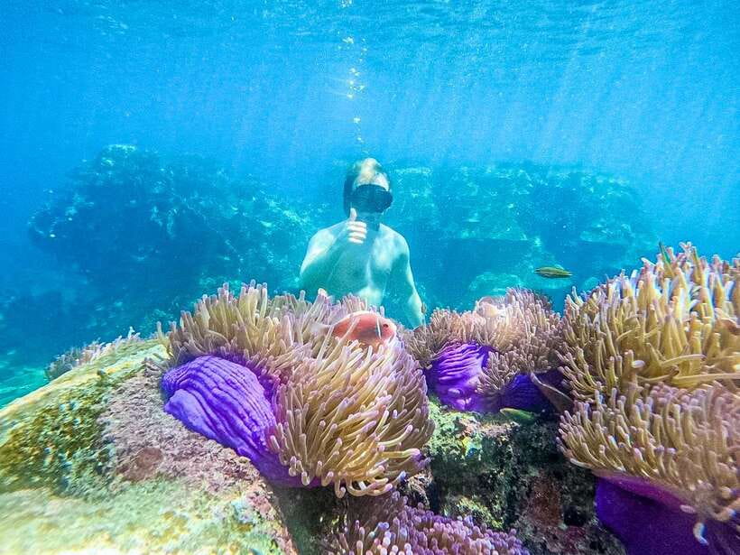Koh Tao: Koh Nangyuan & Hidden Bays Snorkeling Tour w/ Lunch - Snorkeling setup: gear, safety rules, and what you should bring