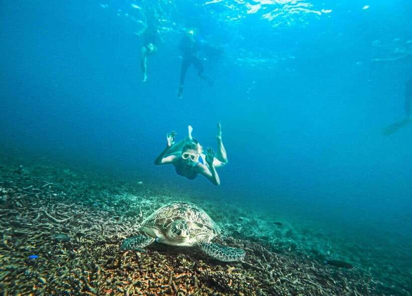 Koh Tao: Koh Nangyuan & Hidden Bays Snorkeling Tour w/ Lunch - The onboard lunch box: Thai comfort with a sea-view break