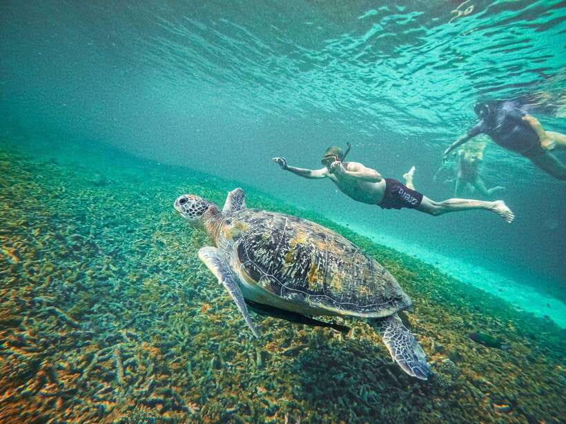 Koh Tao: Koh Nangyuan & Hidden Bays Snorkeling Tour w/ Lunch - Logistics that actually matter: pickup, drop-off, and who’s eligible