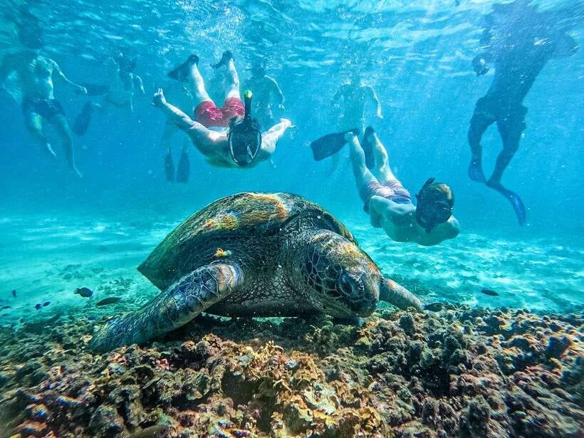 Koh Tao: Koh Nangyuan & Hidden Bays Snorkeling Tour w/ Lunch - Your day plan: a practical 7-hour route with real swim time
