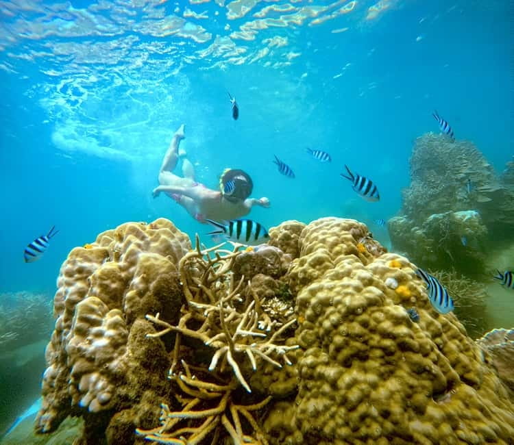 Koh Tao: Snorkeling Trip to Nang Yuan Island & Hidden Bays - Key Things That Make This Trip Worth Your Time