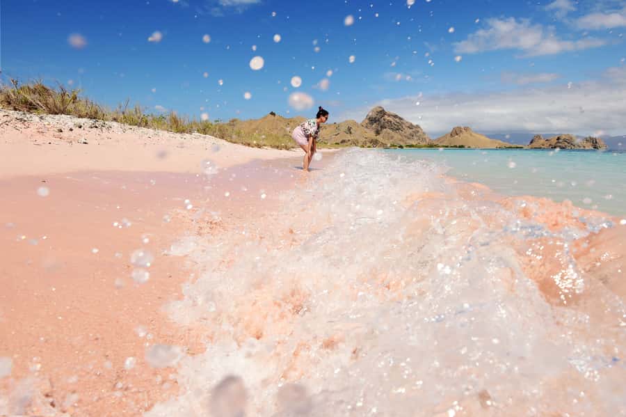 Komodo Island: Komodo Dragons & Islands Day Tour - How the 10-hour speedboat rhythm really works
