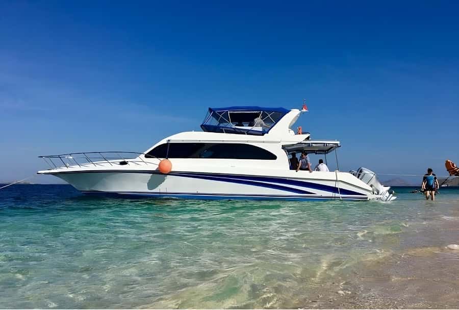 Komodo Island: Komodo Dragons & Islands Day Tour - Kanawa Island reef time: your last chance to enjoy the water