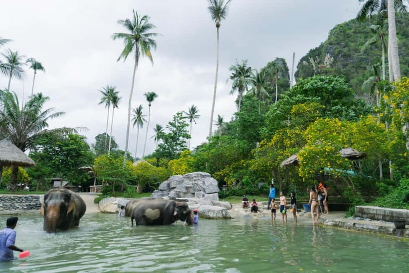Krabi: Ao Nang Elephant Sanctuary Half-Day Tour - Price and Value: Is $70 Worth It?
