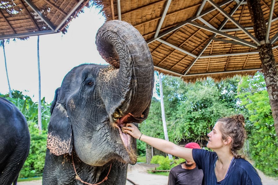 Krabi: Ao Nang Elephant Sanctuary Half-Day Tour - Ao Nang Elephant Sanctuary in Krabi: Elephant Time, With Real Rules