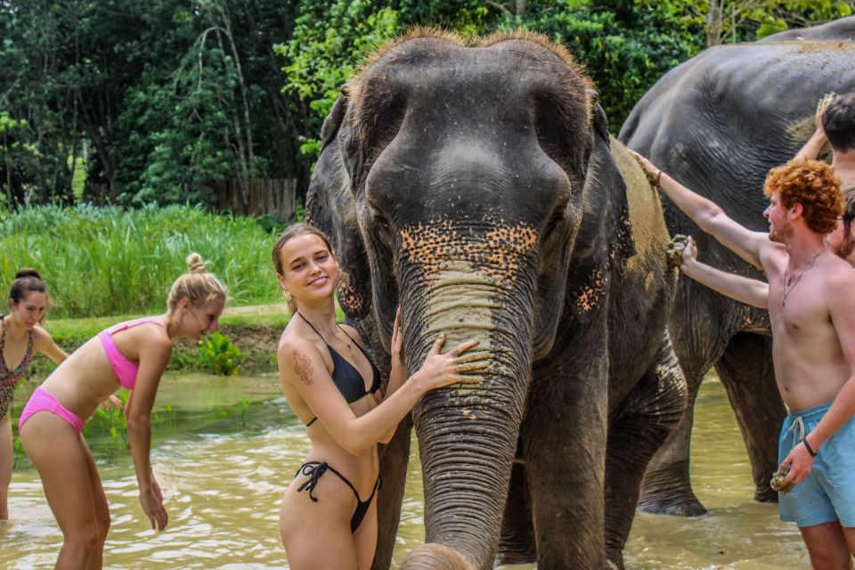Krabi: Ao Nang Elephant Sanctuary Half-Day Tour - Feeding Time: Bananas, Free-Roaming Elephants, and Snack-Prep