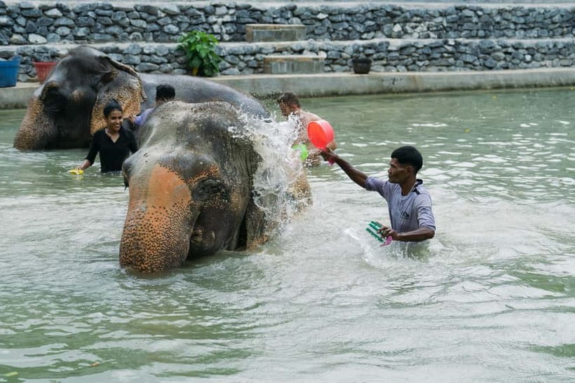 Krabi: Ao Nang Elephant Sanctuary Half-Day Tour - Mud Spa Day: Healthy Treatment, Dirty Fun