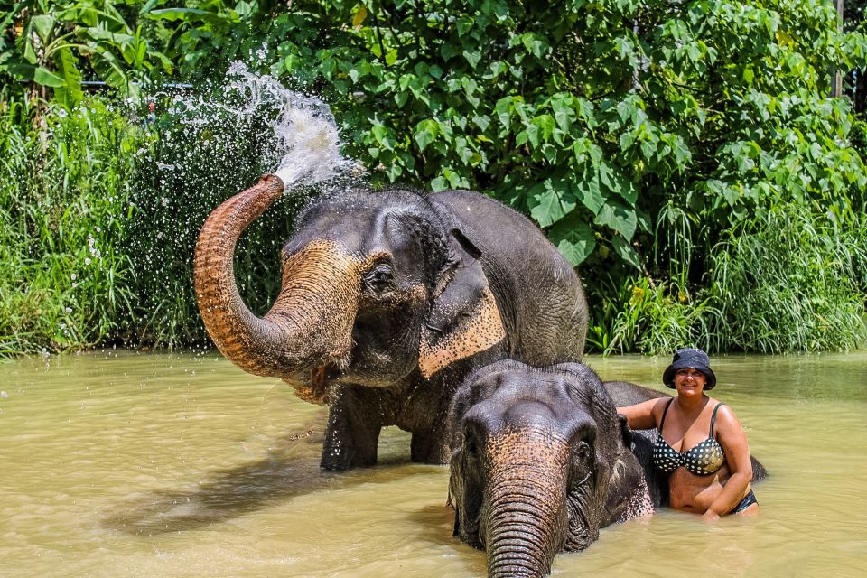 Krabi: Ao Nang Elephant Sanctuary Half-Day Tour - Ethics and Welfare: What the Sanctuary Emphasizes