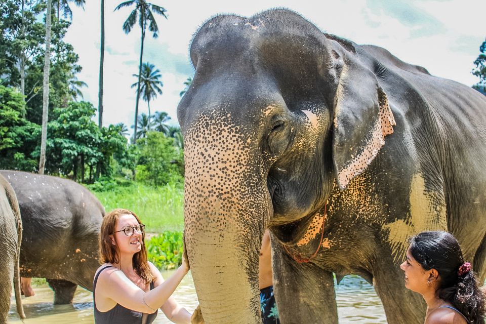 Krabi: Ao Nang Elephant Sanctuary Half-Day Tour - Getting There from Krabi: Pickup, Comfort, and Quick Snacks