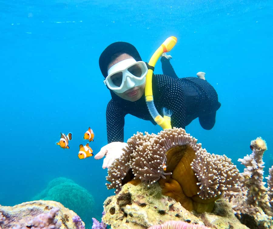 Krabi: Bioluminescent Plankton, Snorkeling & Sunset Tour - Chicken Island: snorkeling and beach views without the long wait