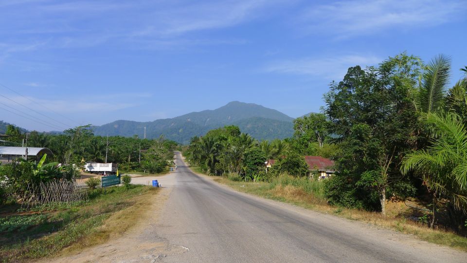 Krabi: Elephant Care House Guided Tour with Hotel Transfers - Krabi Elephant Care House: why this jungle setting feels more human