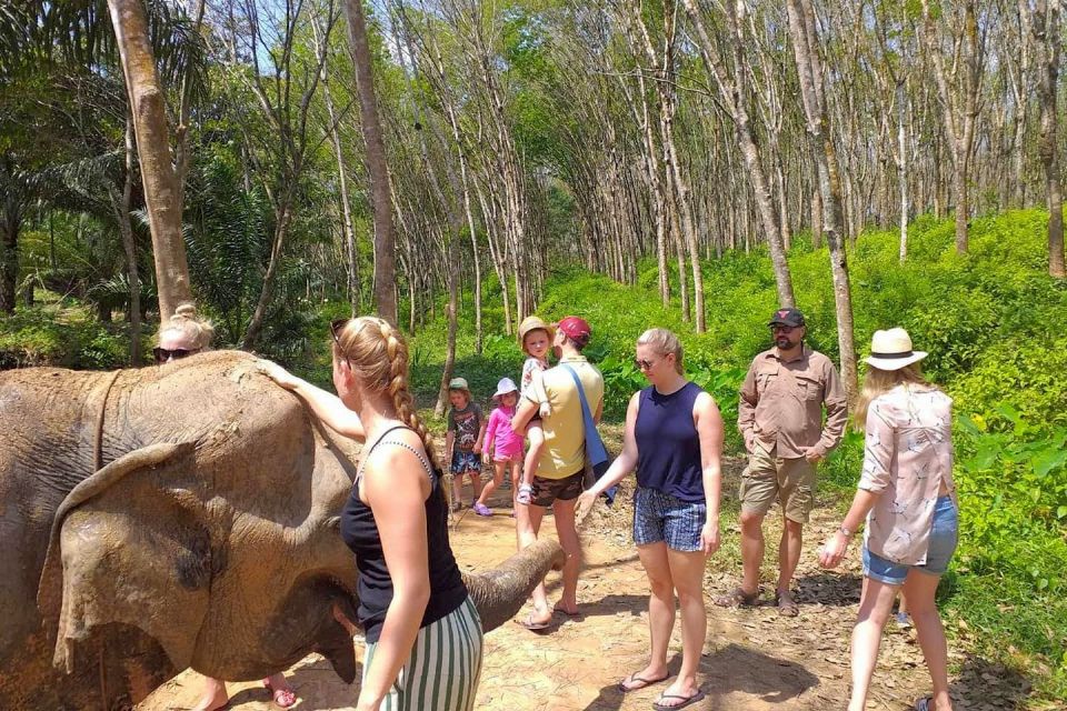 Krabi: Elephant Care House Guided Tour with Hotel Transfers - The safety briefing: where the rules actually help