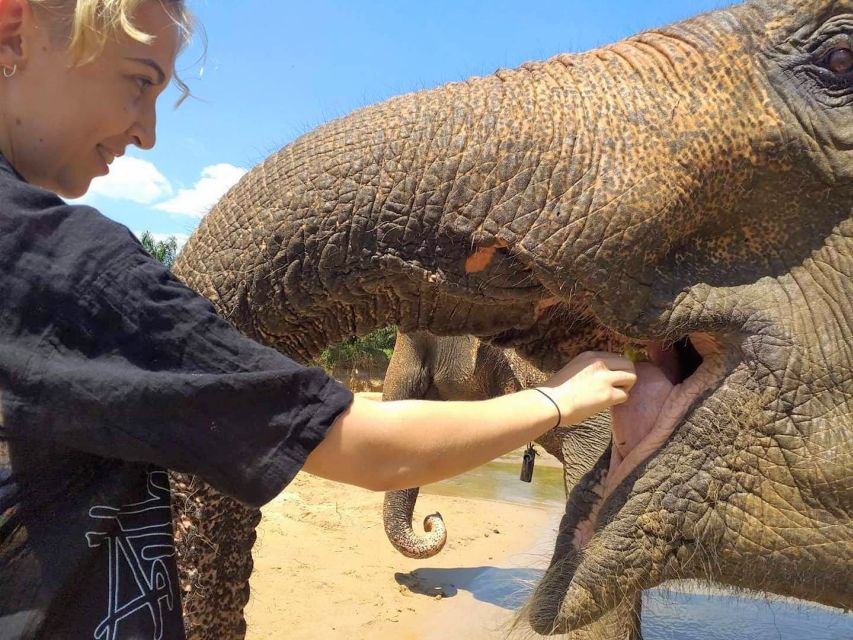 Krabi: Elephant Care House Guided Tour with Hotel Transfers - Hotel transfers and timing: getting there without wasting your day