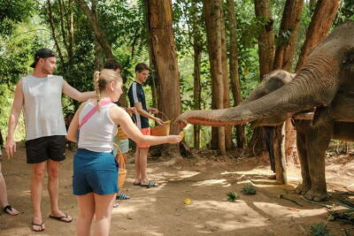 Krabi: Elephant Sanctuary (near Ao Nang) Visit - Hotel pickup in Ao Nang: fast logistics, clear arrival cues