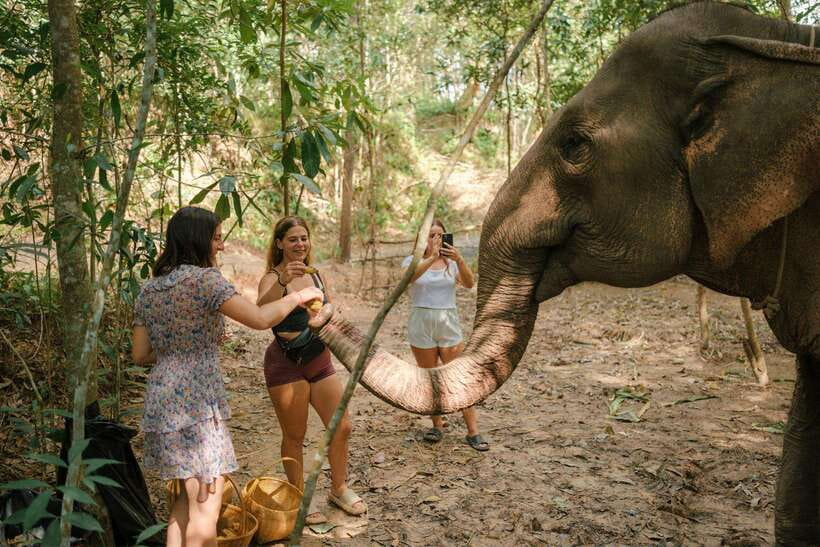 Krabi: Elephant Sanctuary (near Ao Nang) Visit - The snack break: small comfort, big difference in a short tour