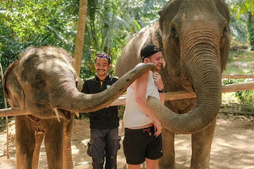 Krabi: Elephant Sanctuary (near Ao Nang) Visit - Value check: is $22 a good deal near Ao Nang?