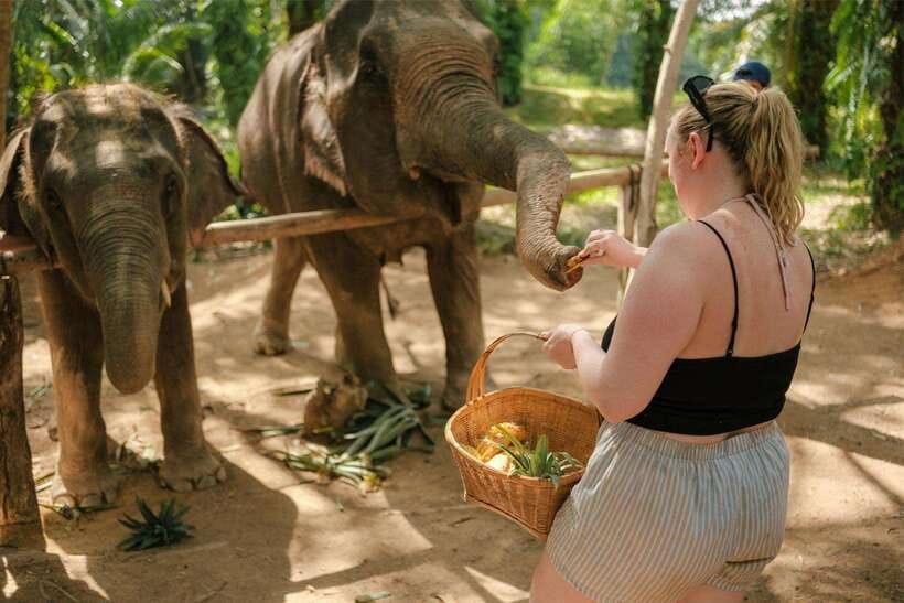 Krabi: Elephant Sanctuary (near Ao Nang) Visit - Timing tip: book earlier so you don’t lose your slot