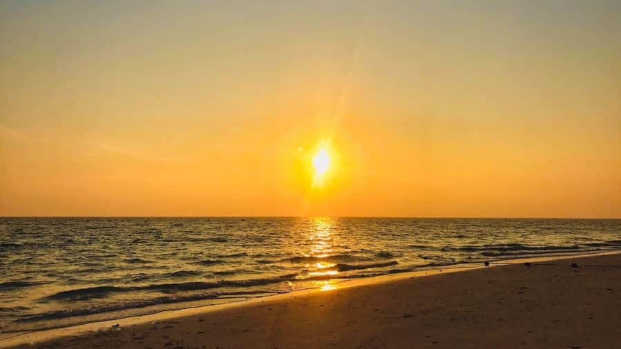 Krabi: Phi Phi Early Bird & 4 Island by Speedboat with Lunch - Why the early start makes the whole trip work
