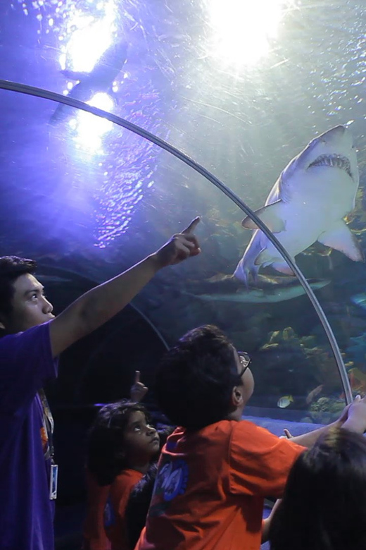 Kuala Lumpur: Aquaria KLCC Entry Ticket - Key highlights at Aquaria KLCC