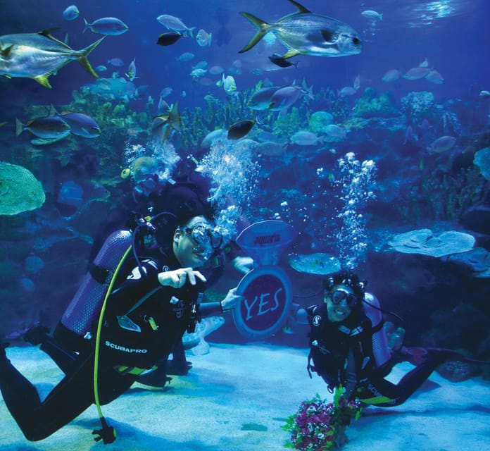 Kuala Lumpur: Aquaria KLCC Entry Ticket - Should you book Aquaria KLCC entry ticket?