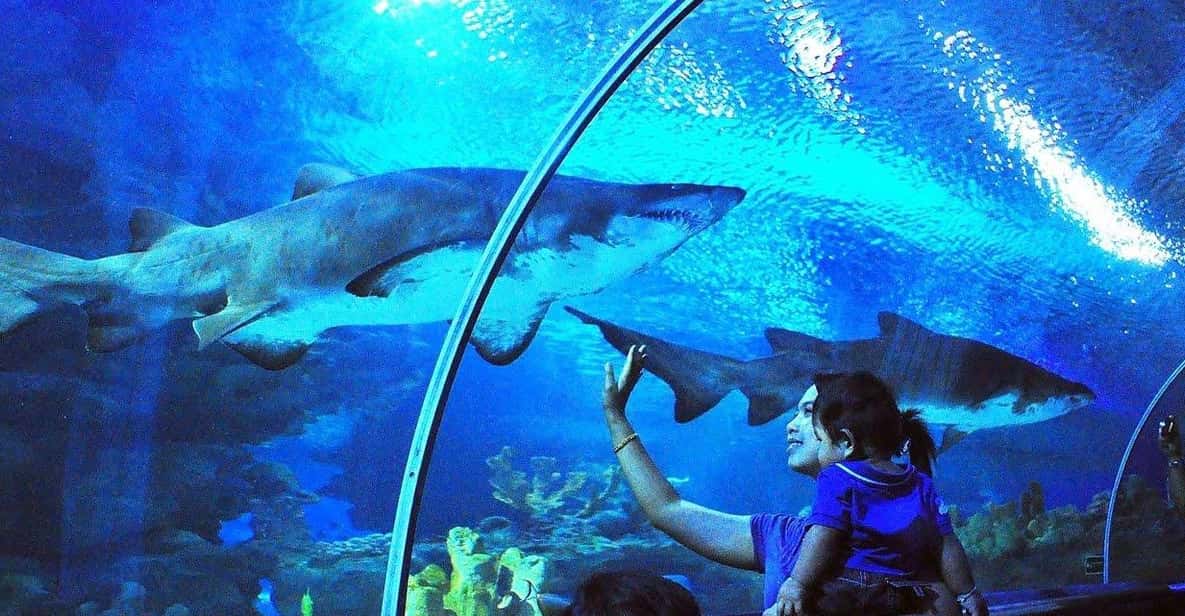 Kuala Lumpur: Aquaria KLCC Entry Ticket - The self-guided route: from first tanks to the 90m glass tunnel
