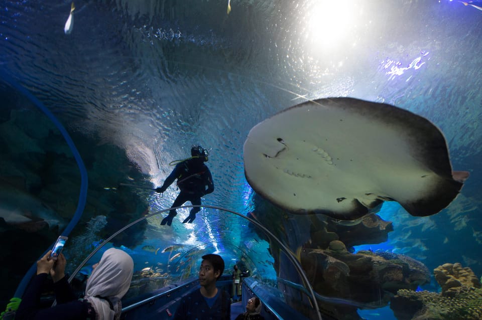 Kuala Lumpur: Aquaria KLCC Entry Ticket - Timing and opening hours: plan around peak days