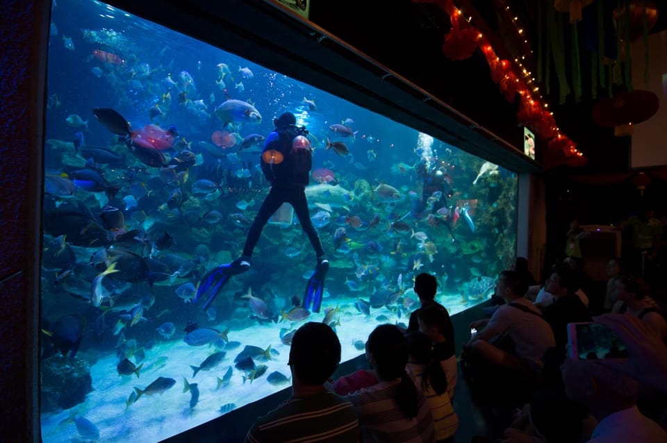 Kuala Lumpur: Aquaria KLCC Entry Ticket - Price and value: what $14 buys you in the real world