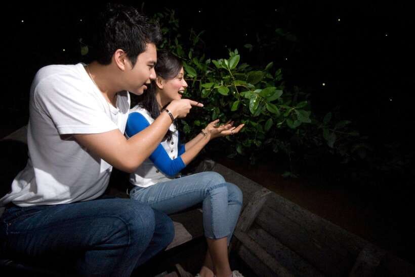 Kuala Lumpur: Fireflies & Blue Tears Tour with Seafood Meal - The pace, vehicle comfort, and how guides shape the night