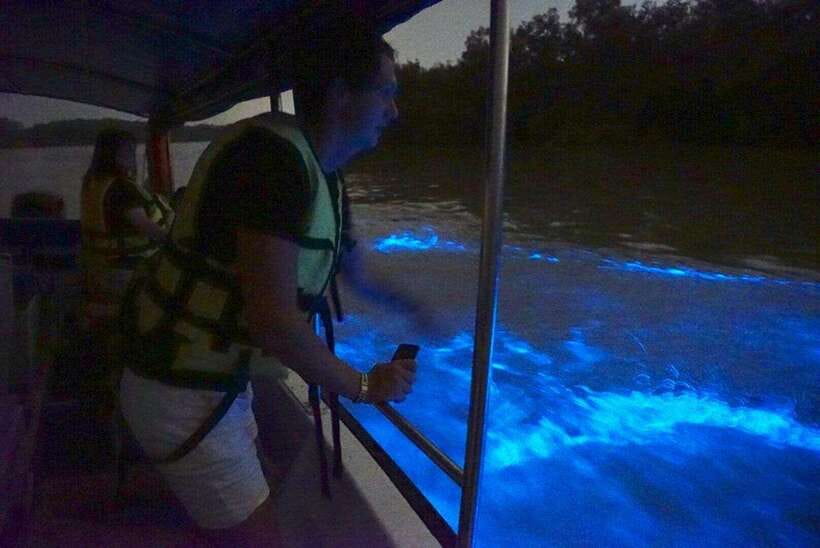 Kuala Lumpur: Kuala Selangor Fireflies and Blue Tears Tour - Boat ride strategy: seeing fireflies and searching for Blue Tears
