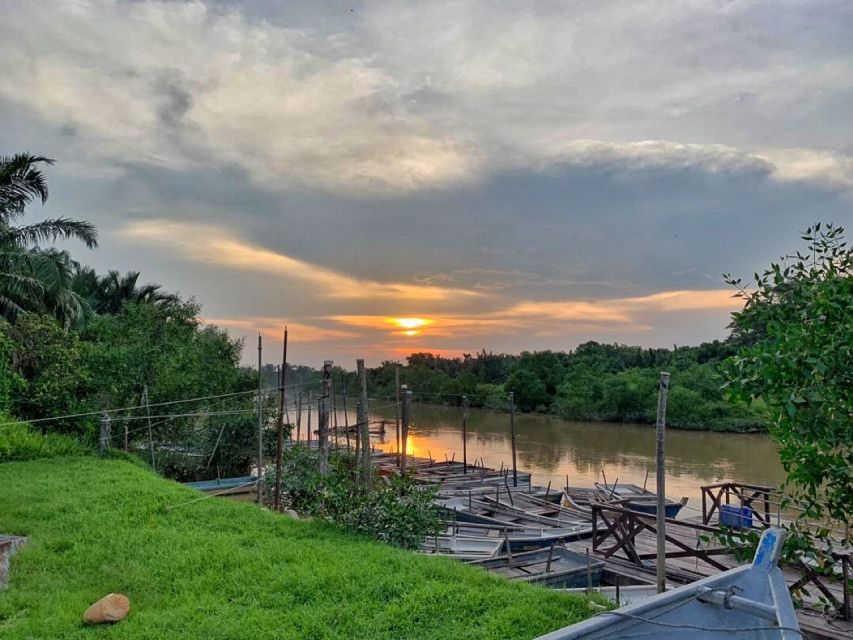 Kuala Lumpur: Kuala Selangor Fireflies and Blue Tears Tour - Timing, weather, and the Blue Tears reality check