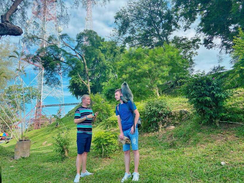 Kuala Lumpur: Kuala Selangor Fireflies and Blue Tears Tour - Who should book this tour (and who should skip it)