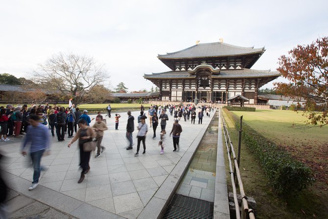 Kyoto and Nara Day Trip from Kyoto - Kasuga Grand Shrine Lanterns and Why Nara Feels Different