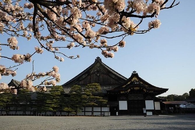 Kyoto and Nara Day Trip from Kyoto - Todai-ji and the Great Buddha Hall: When “Impressive” Means Big