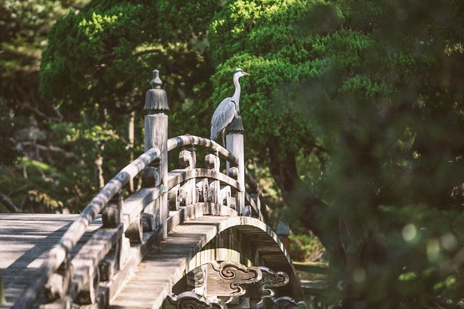 Kyoto and Nara Day Trip from Kyoto - Comfort and Inclusions: What You’re Paying For (and What It Saves You)