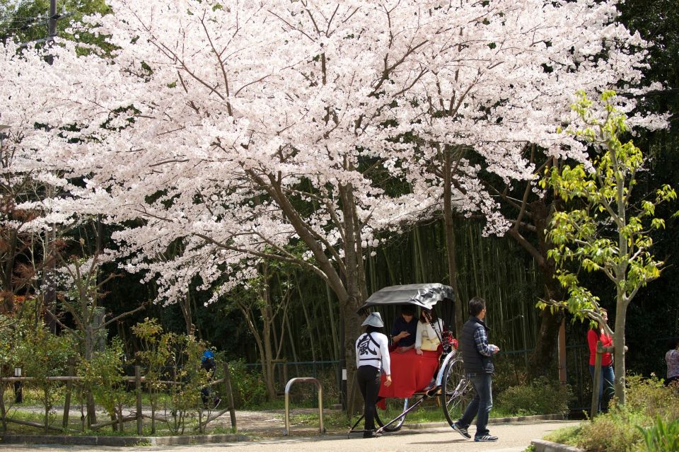 Kyoto: Arashiyama Customized Rickshaw Tour & Bamboo Forest - Where this fits best (and who should think twice)