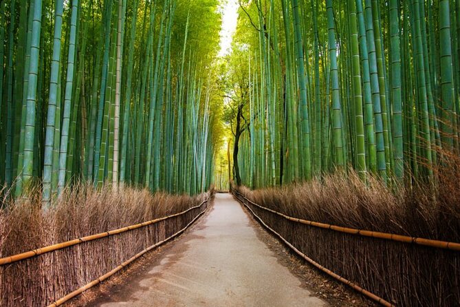 Kyoto Arashiyama Walking Tour: Bamboo, Monkeys, Gardens & Secrets - Togetsukyo Bridge: The River View Moment