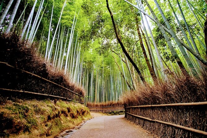 Kyoto Arashiyama Walking Tour: Bamboo, Monkeys, Gardens & Secrets - Monkey Park Iwatayama: The Steep Climb with a Big View